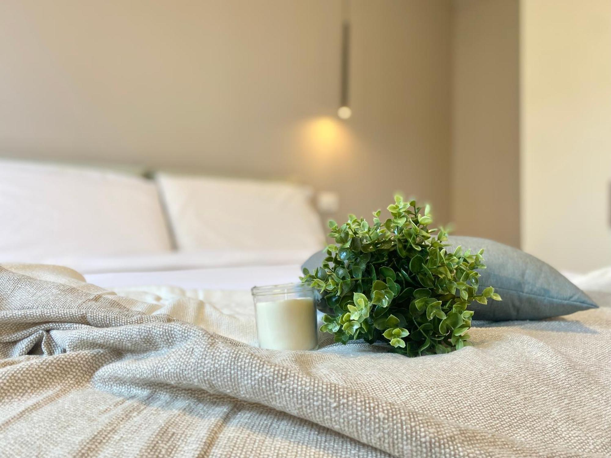 Casaviva - Apartment In The Historic Center - Land Genova Eksteriør bilde